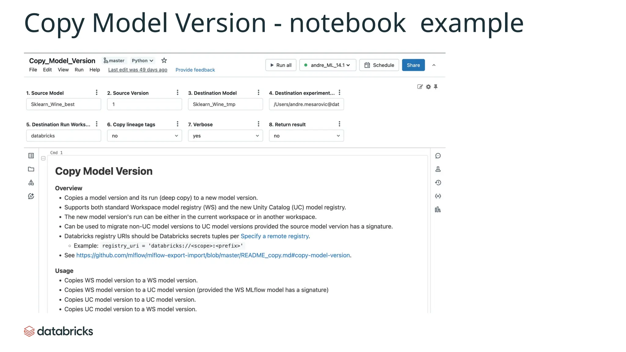 Copy Model Version - notebook example
 