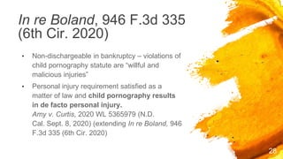 Seeking Justice for Victims of CSAM Despite Section 230 | PPT ...