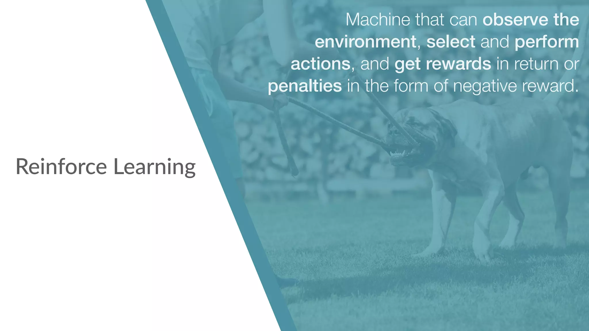 Reinforce Learning
Machine that can observe the
environment, select and perform
actions, and get rewards in return or
penalties in the form of negative reward.
 
