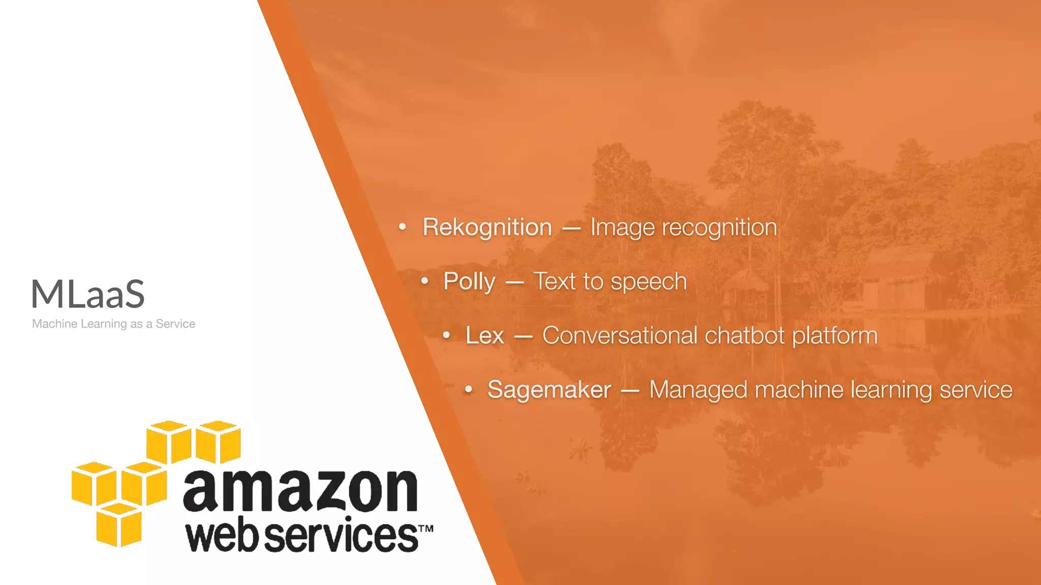 MLaaS
Machine Learning as a Service
• Rekognition — Image recognition
• Polly — Text to speech

• Lex — Conversational chatbot platform

• Sagemaker — Managed machine learning service
 