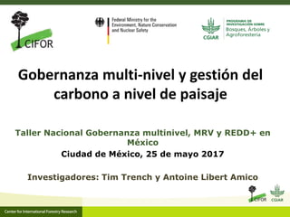 Gobernanza multi-nivel y gestión del
carbono a nivel de paisaje
Taller Nacional Gobernanza multinivel, MRV y REDD+ en
México
Ciudad de México, 25 de mayo 2017
Investigadores: Tim Trench y Antoine Libert Amico
 