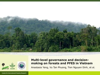 Multi-level governance and decision-
making on forests and PFES in Vietnam
Anastasia Yang, Vu Tan Phuong, Tien Nguyen Dinh, et al.
 