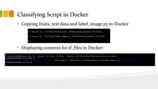 Classifying Script in Docker
• Copying fruits_test data and label_image.py to Docker
• Displaying contents for tf_files in Docker:
 