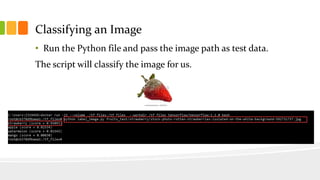 Classifying an Image
• Run the Python file and pass the image path as test data.
The script will classify the image for us.
 