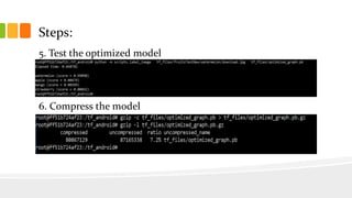 Steps:
5. Test the optimized model
6. Compress the model
 