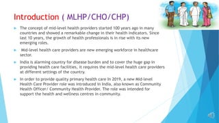 Mlhp Roles And Responsibilities