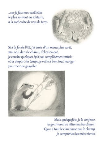 …car je fais mes cueille9es
le plus souvent en solitaire,
à la recherche de vers de terÅe.
Si à la ﬁn de l’été, j’ai envie d’un menu plus varié,
moi seul dans le champ, délicatement,
je couche quelques épis pas complètement mûris
et la plupar" du temps, je veille à bien tout manger
pour ne rien gaspiller.
Mais quelquefois, je le confesse,
la gour#andise aDise ma hardiesse !
Quand tout le clan passe par le champ,
je comprends les mécontents.
 