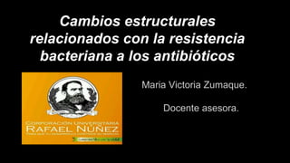 Maria Victoria Zumaque.
Docente asesora.
Cambios estructurales
relacionados con la resistencia
bacteriana a los antibióticos
 