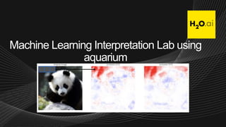 Machine Learning Interpretation Lab using
aquarium
 