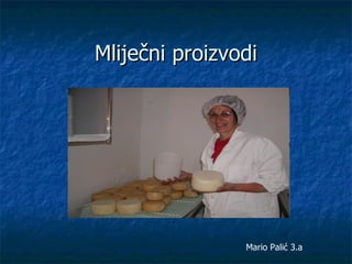 Mliječni proizvodi Mario Palić 3.a 