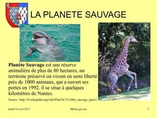 LA PLANETE SAUVAGE




Planète Sauvage est une réserve
animalière de plus de 80 hectares, un
territoire préservé où vivent en semi liberté
près de 1000 animaux, qui a ouvert ses
portes en 1992. il se situe à quelques
kilomètres de Nantes.
Source : http://fr.wikipedia.org/wiki/Plan%C3%A8te_sauvage_(parc)

mardi 16 avril 2013                          Mélina gervais         5
 