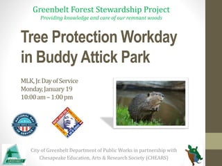Tree Protection Workday
in Buddy Attick Park
MLK,Jr.DayofService
Monday,January19
10:00am–1:00pm
City of Greenbelt Department of Public Works in partnership with
Chesapeake Education, Arts & Research Society (CHEARS)
Greenbelt Forest Stewardship Project
Providing knowledge and care of our remnant woods
 