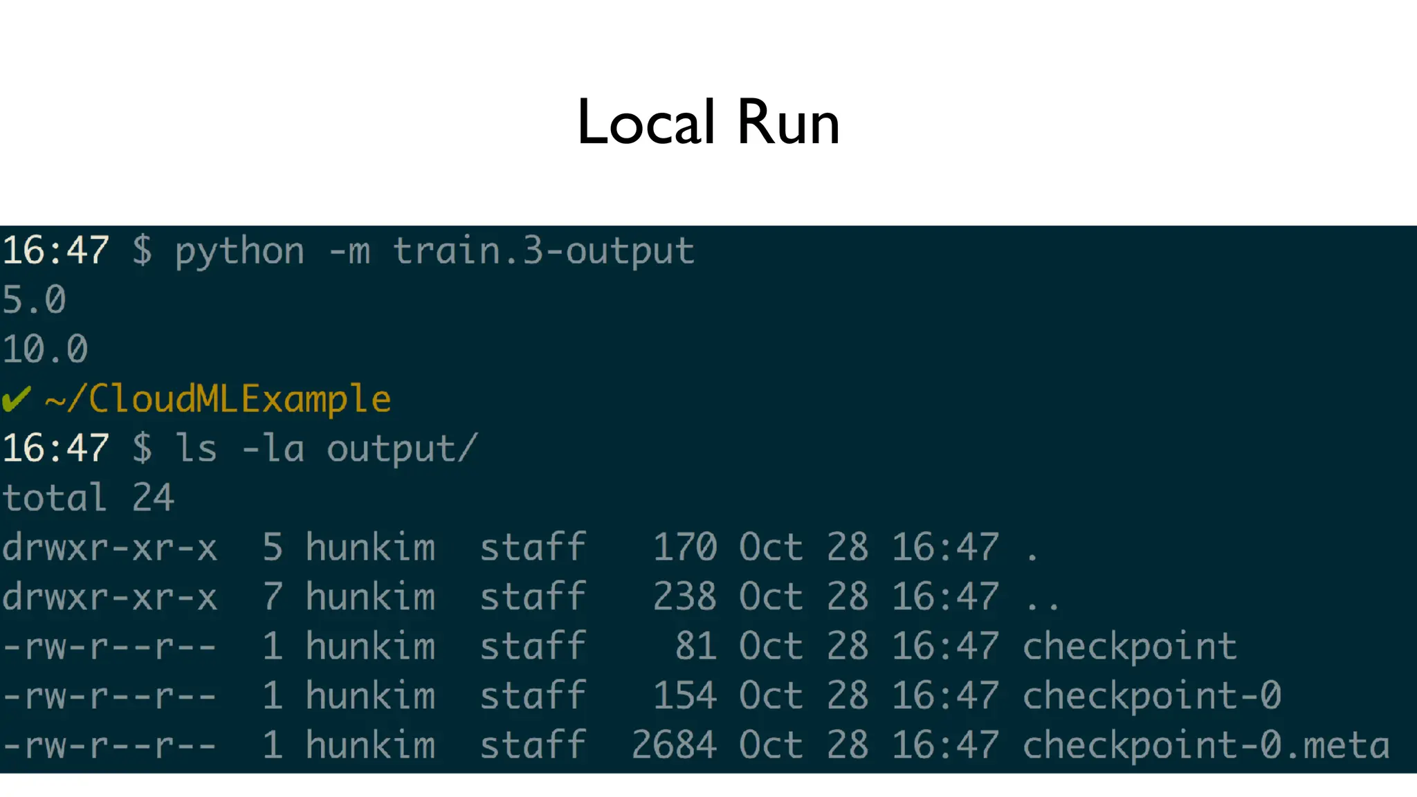 Local Run
 