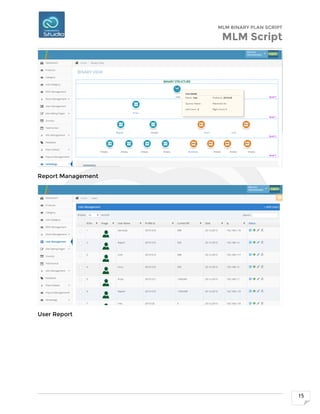 Mlm Reporting Binary Plan MLM script | PDF