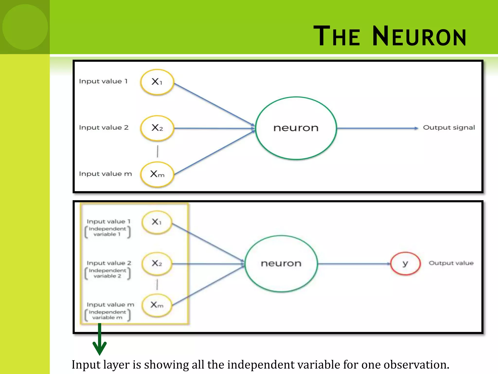 THE NEURON
Input layer is showing all the independent variable for one observation.
 