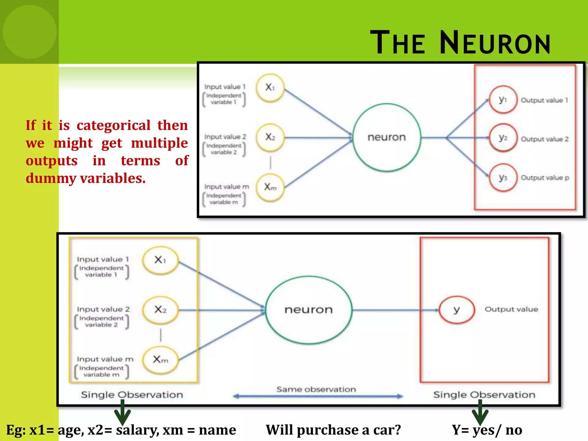 THE NEURON
If it is categorical then
we might get multiple
outputs in terms of
dummy variables.
Eg: x1= age, x2= salary, xm = name Y= yes/ no
Will purchase a car?
 