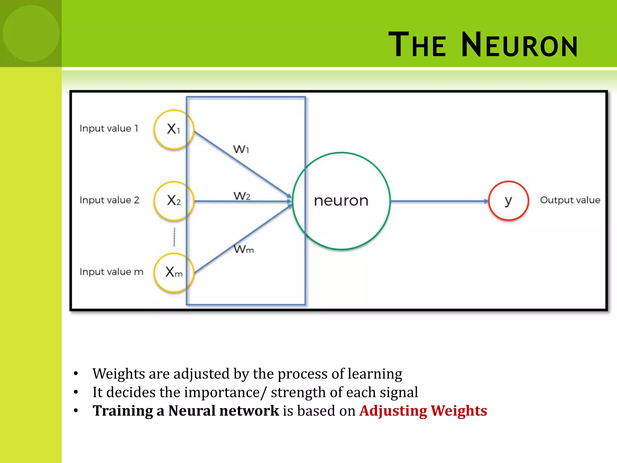 THE NEURON
• Weights are adjusted by the process of learning
• It decides the importance/ strength of each signal
• Training a Neural network is based on Adjusting Weights
 