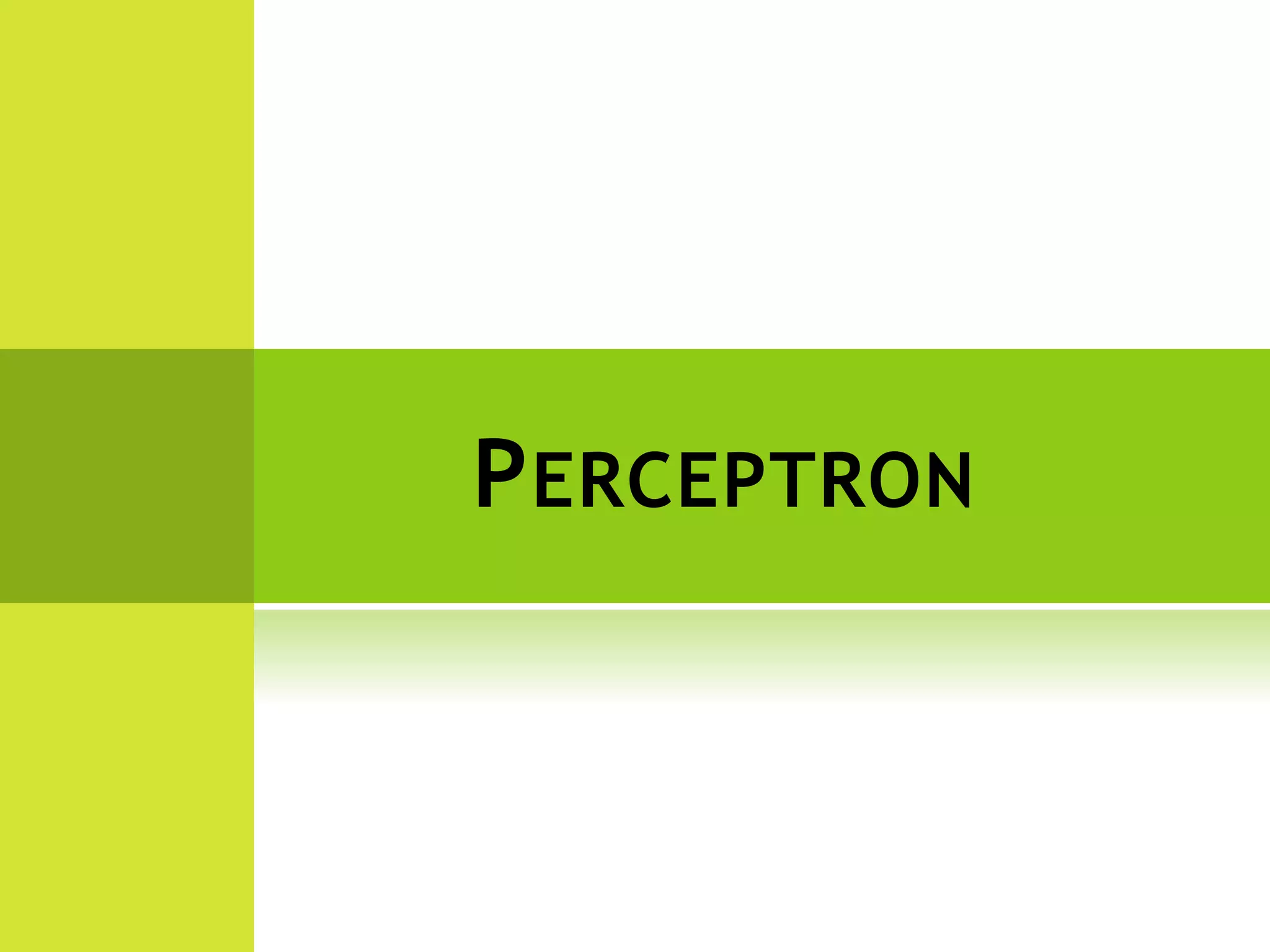 PERCEPTRON
 