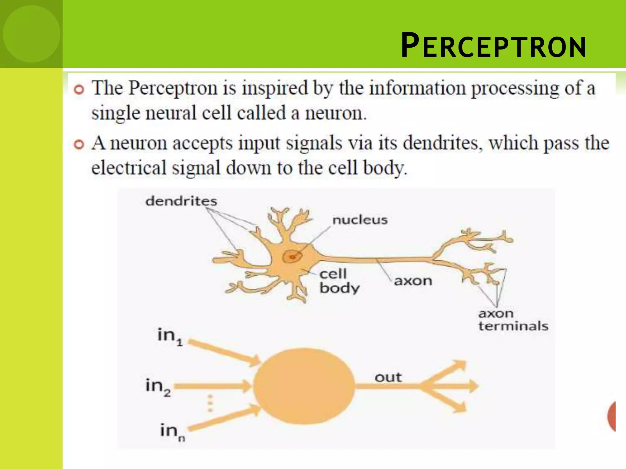 PERCEPTRON
 
