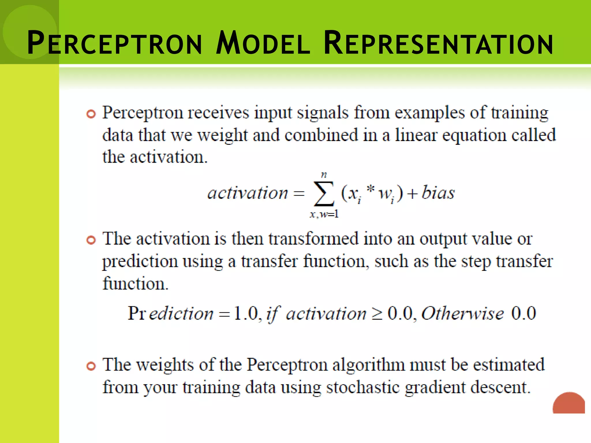 PERCEPTRON MODEL REPRESENTATION
 