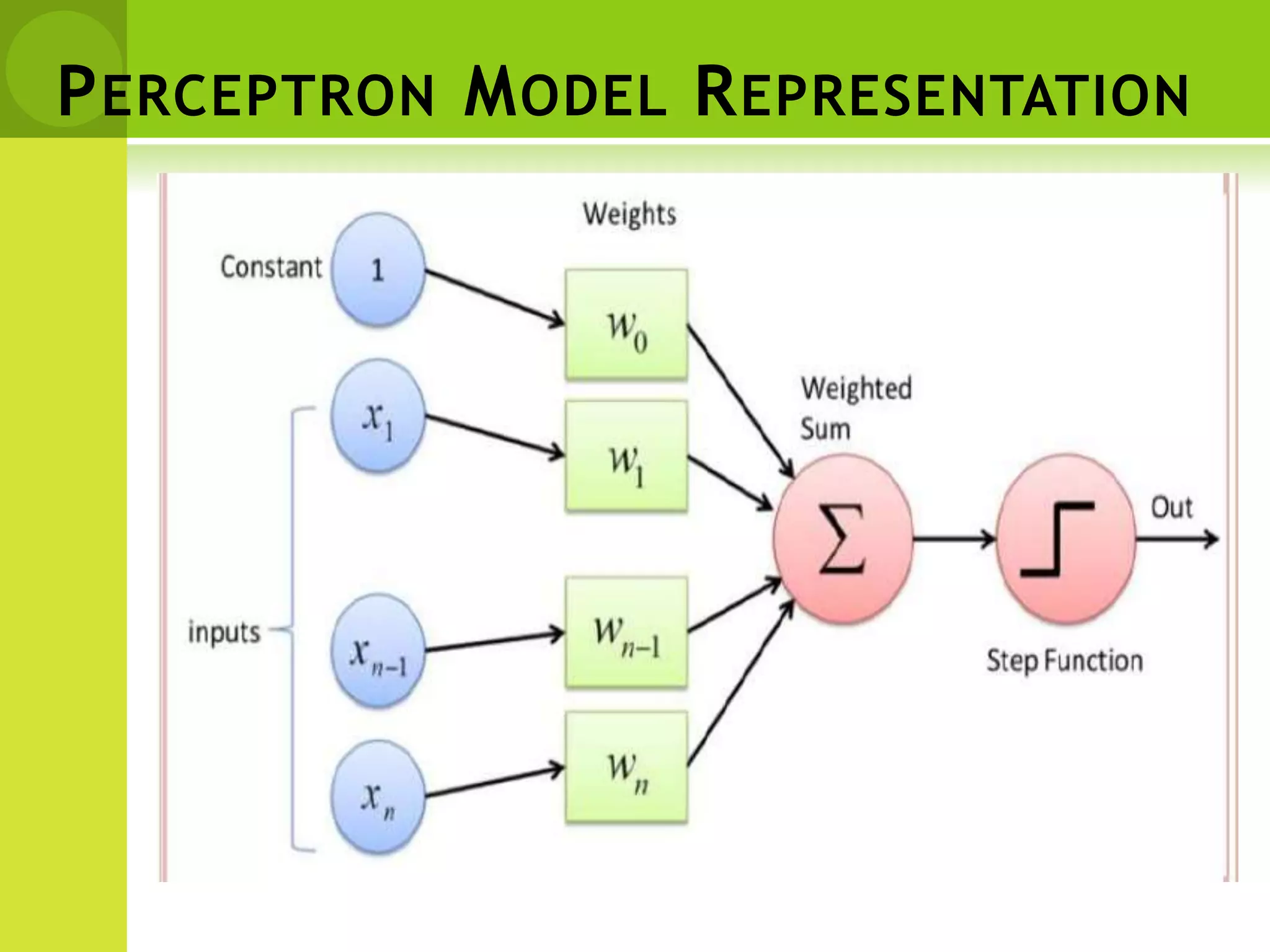 PERCEPTRON MODEL REPRESENTATION
 