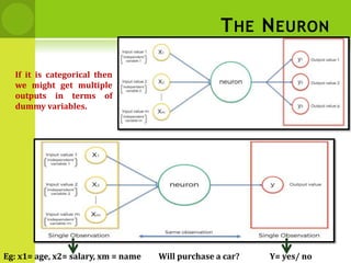 THE NEURON
If it is categorical then
we might get multiple
outputs in terms of
dummy variables.
Eg: x1= age, x2= salary, xm = name Y= yes/ no
Will purchase a car?
 