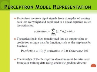 PERCEPTRON MODEL REPRESENTATION
 
