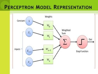 PERCEPTRON MODEL REPRESENTATION
 