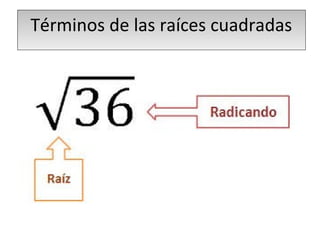 Términos de las raíces cuadradas 
 