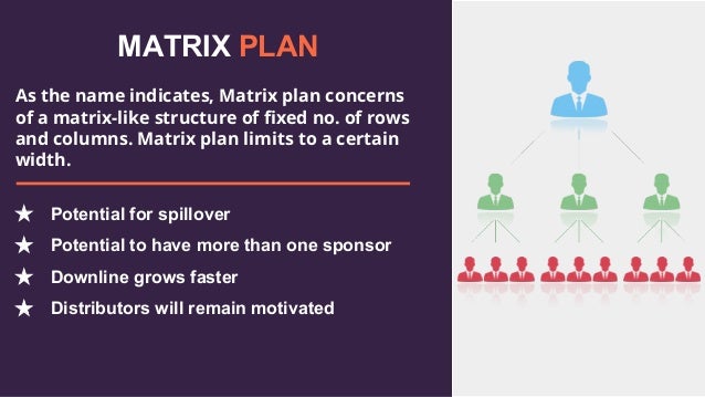 Mlm compensation plan template picture