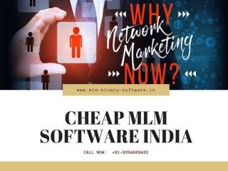 MLM Website Development India | +91-9354669433