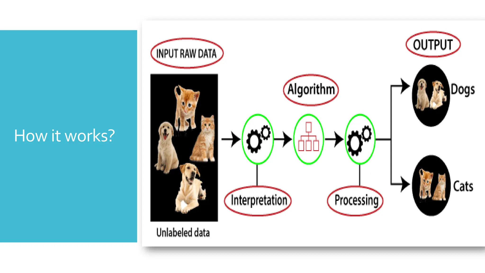 How it works?
 