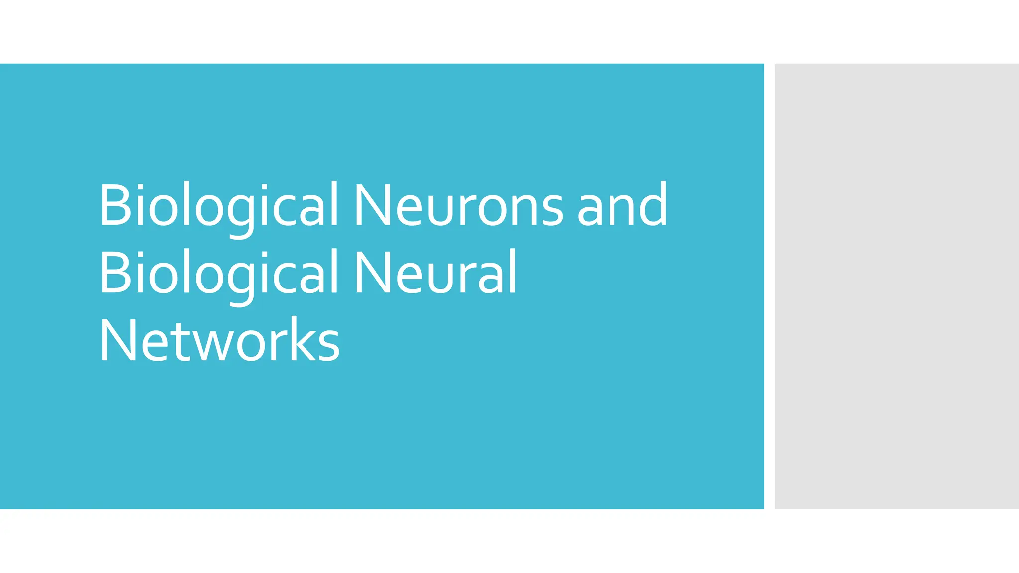 Biological Neurons and
Biological Neural
Networks
 