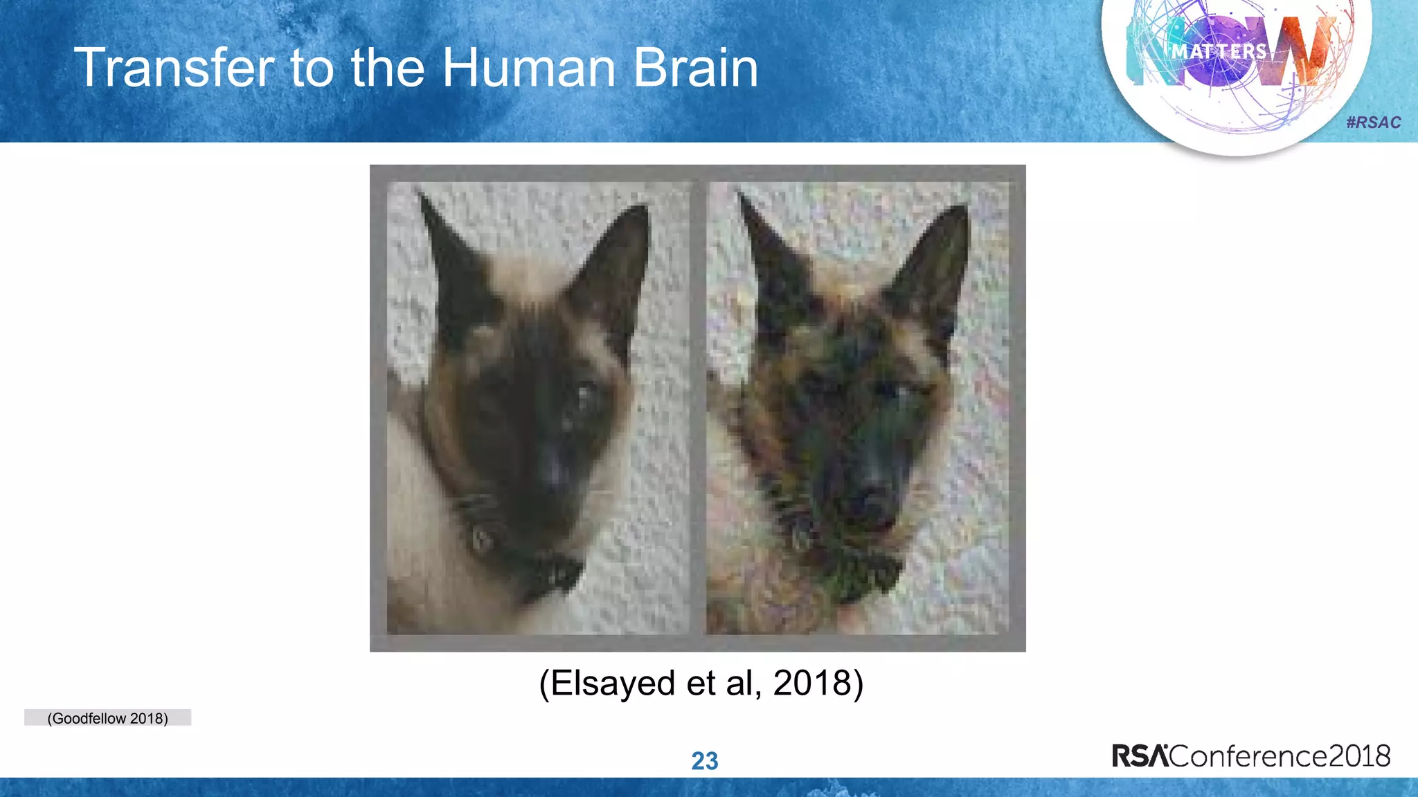 (Goodfellow 2018)
#RSAC
Transfer to the Human Brain
23
(Elsayed et al, 2018)
 
