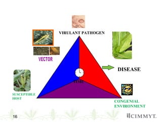 16
VIRULANT PATHOGEN
SUSCEPTIBLE
HOST
CONGENIAL
ENVIRONMENT
TIME
DISEASE
 
