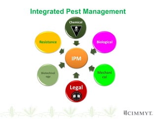 IPM
Integrated Pest Management
 