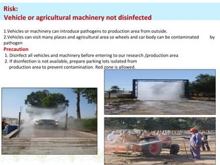 1.Vehicles or machinery can introduce pathogens to production area from outside.
2.Vehicles can visit many places and agricultural area so wheels and car body can be contaminated by
pathogen
Precaution
1. Disinfect all vehicles and machinery before entering to our research /production area
2. If disinfection is not available, prepare parking lots isolated from
production area to prevent contamination. Red zone is allowed.
Risk:
Vehicle or agricultural machinery not disinfected
 