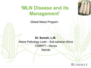 Dr. Suresh, L.M.
Maize Pathology Lead – Sub saharan Africa
CIMMYT – Kenya
Nairobi
‘MLN Disease and its
Management’
Global Maize Program
 