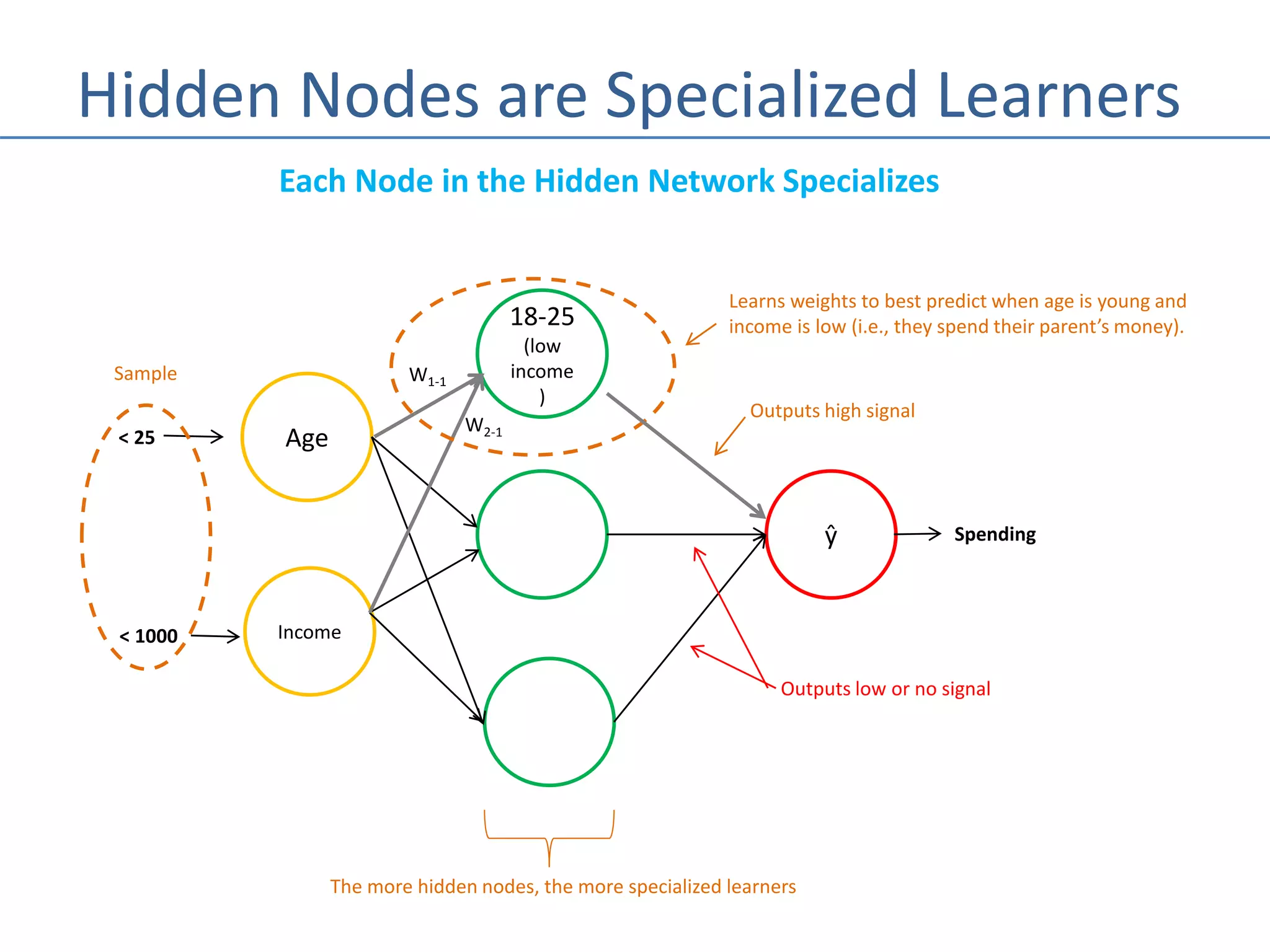 Hidden Nodes are Specialized Learners
Age
Income
18-25
(low
income
)
ŷ Spending
Each Node in the Hidden Network Specializes
W1-1
W2-1
Learns weights to best predict when age is young and
income is low (i.e., they spend their parent’s money).
Outputs high signal
Outputs low or no signal
< 25
< 1000
Sample
The more hidden nodes, the more specialized learners
 
