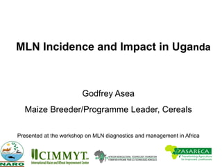 MLN Incidence and Impact in Uganda
Godfrey Asea
Maize Breeder/Programme Leader, Cereals
Presented at the workshop on MLN diagnostics and management in Africa
 