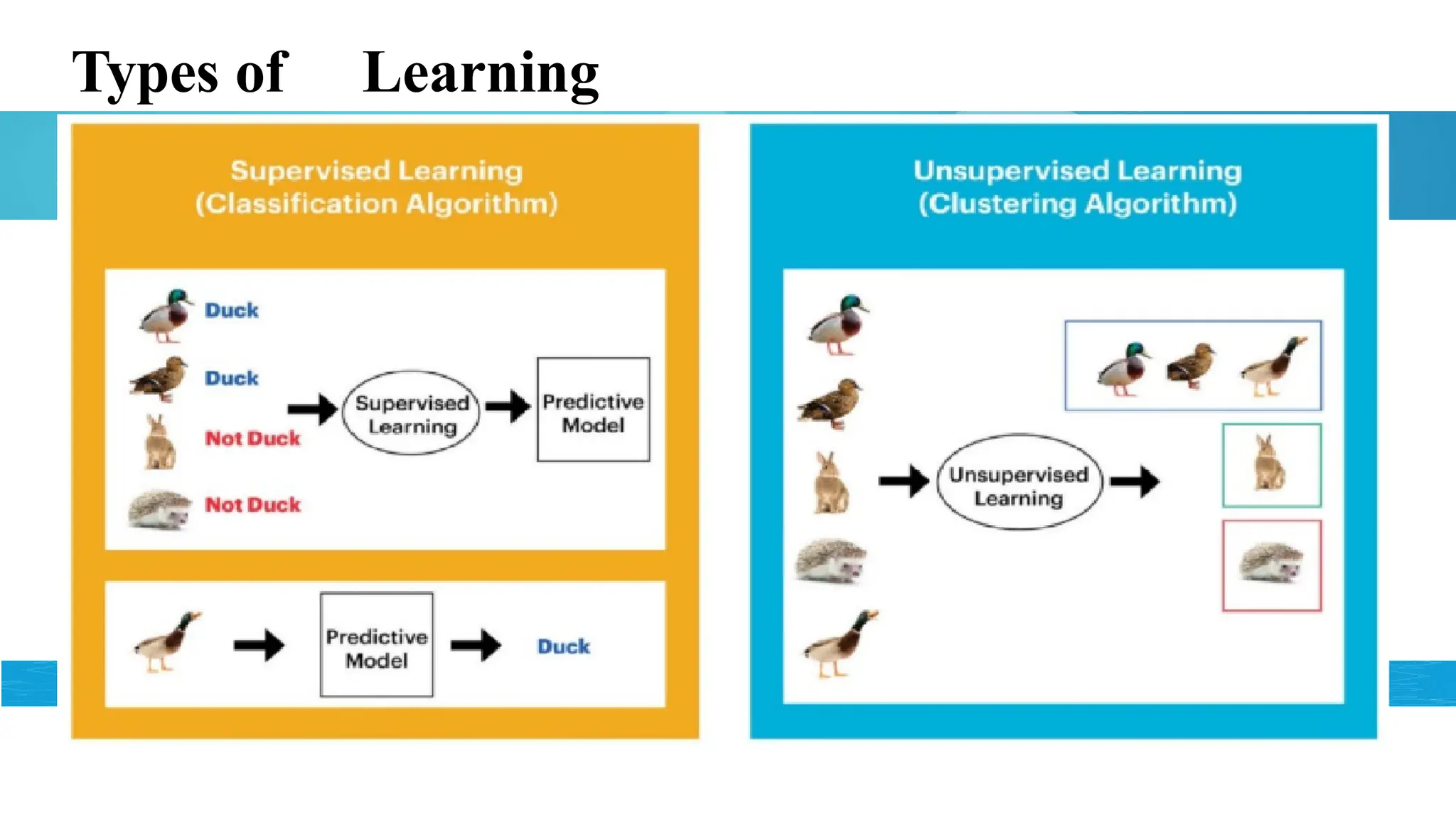 Types of Learning
 
