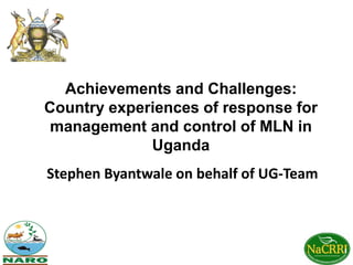 Achievements and Challenges:
Country experiences of response for
management and control of MLN in
Uganda
Stephen Byantwale on behalf of UG-Team
 