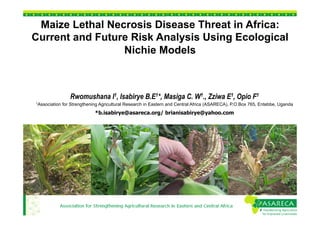 Maize Lethal Necrosis Disease Threat in Africa:
Current and Future Risk Analysis Using Ecological
Nichie Models

Rwomushana I1, Isabirye B.E1*, Masiga C. W1., Zziwa E1, Opio F1
1Association

for Strengthening Agricultural Research in Eastern and Central Africa (ASARECA), P.O.Box 765, Entebbe, Uganda

*b.isabirye@asareca.org/ brianisabirye@yahoo.com

 