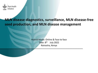 MLN disease diagnostics, surveillance, MLN disease-free
seed production, and MLN disease management
Hybrid Mode: Online & Face to face
Date: 8th July 2022
Naivasha, Kenya
 