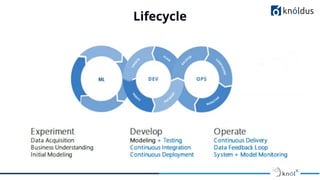 Lifecycle
 
