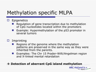 MLPA | PPT | Chemistry | Science