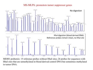 MS-MLPA: promotors tumor suppressor genes
No digestion
HhaI digestion (blood derived DNA):
Reference probes remain intact, no HhaI site
ME001 probemix: 15 reference probes without HhaI sites; 26 probes for sequences with
HhaI sites that are unmethylated in blood derived control DNA but sometimes methylated
in tumor DNA.
 