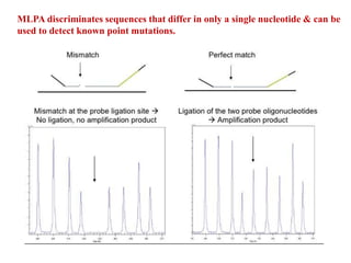 MLPA discriminates sequences that differ in only a single nucleotide & can be
used to detect known point mutations.
 