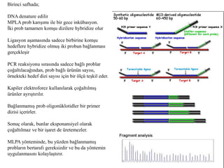 Birinci safhada;
DNA denature edilir
MPLA prob karışımı ile bir gece inkübasyon.
İki prob tamamen komşu dizilere hybridize olur
Ligasyon aşamasında sadece birbirine komşu
hedeflere hybridize olmuş iki probun bağlanması
gerçekleşir
PCR reaksiyonu sırasında sadece bağlı problar
çoğaltılacağından, prob bağlı ürünün sayısı,
örnekteki hedef dizi sayısı için bir ölçü teşkil eder.
Kapiler elektroforez kullanılarak çoğaltılmış
ürünler ayrıştırılır.
Bağlanmamış prob oligonüklotidler bir primer
dizisi içerirler.
Sonuç olarak, bunlar eksponansiyel olarak
çoğaltılmaz ve bir işaret de üretemezler.
MLPA yönteminde, bu yüzden bağlanmamış
probların bertarafı gereksizdir ve bu da yöntemin
uygulanmasını kolaylaştırır.
 