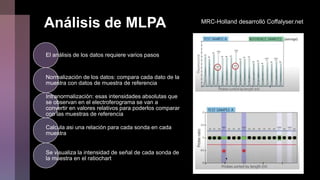 MLPA.pptx